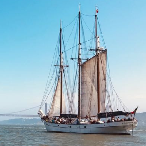 Alugar Barco para Eventos em Lisboa: Iate Clássico | Century Yachts | Leão Holandês